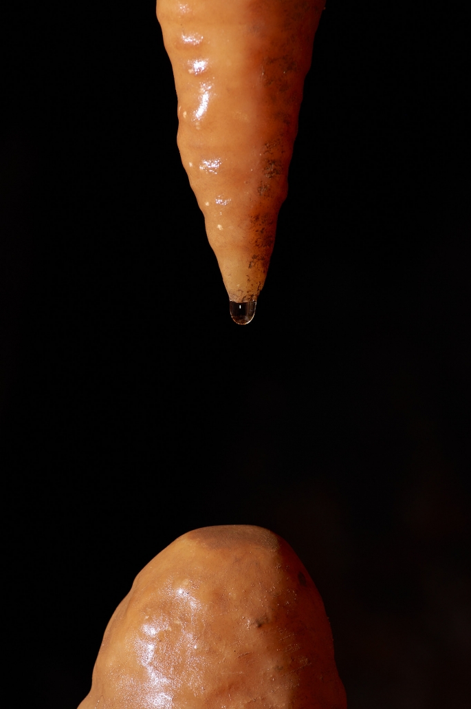 Concrétion dans l'igue du Facteur